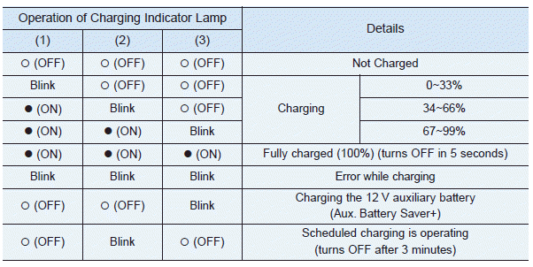 Hyundai Ioniq. Checking Charging Status