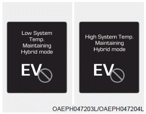 Hyundai Ioniq. LCD Display Messages