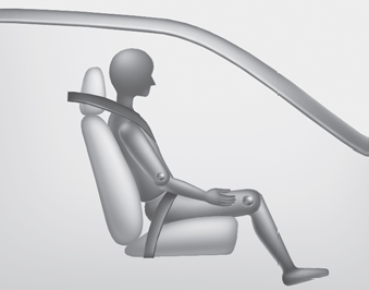 Hyundai Ioniq. Occupant Classification System (OCS)