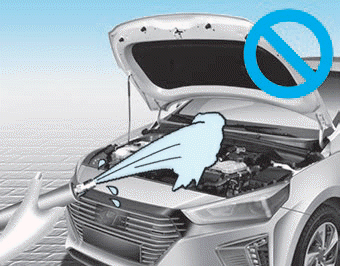 Hyundai Ioniq. Protecting your vehicle's finish